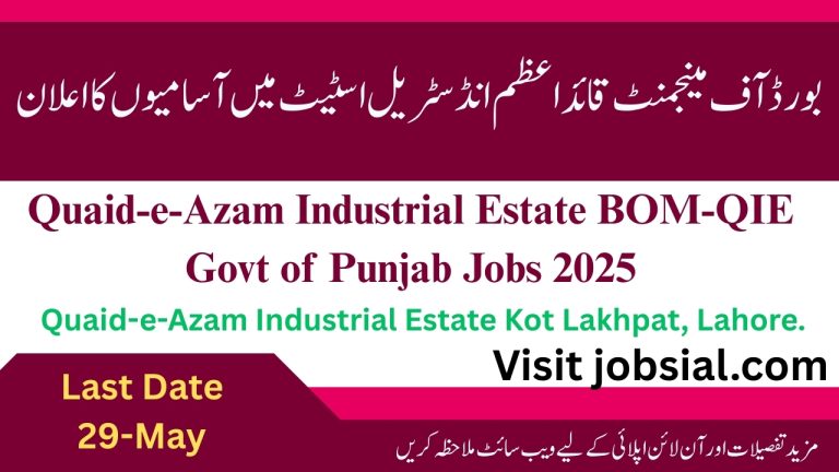 Board of Management Quaid-e-Azam Industrial Estate Jobs 2025