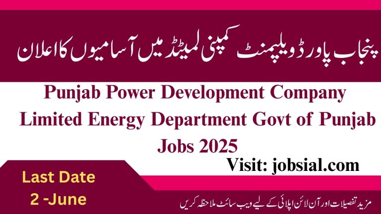 Energy Department Govt of Punjab Jobs 2025