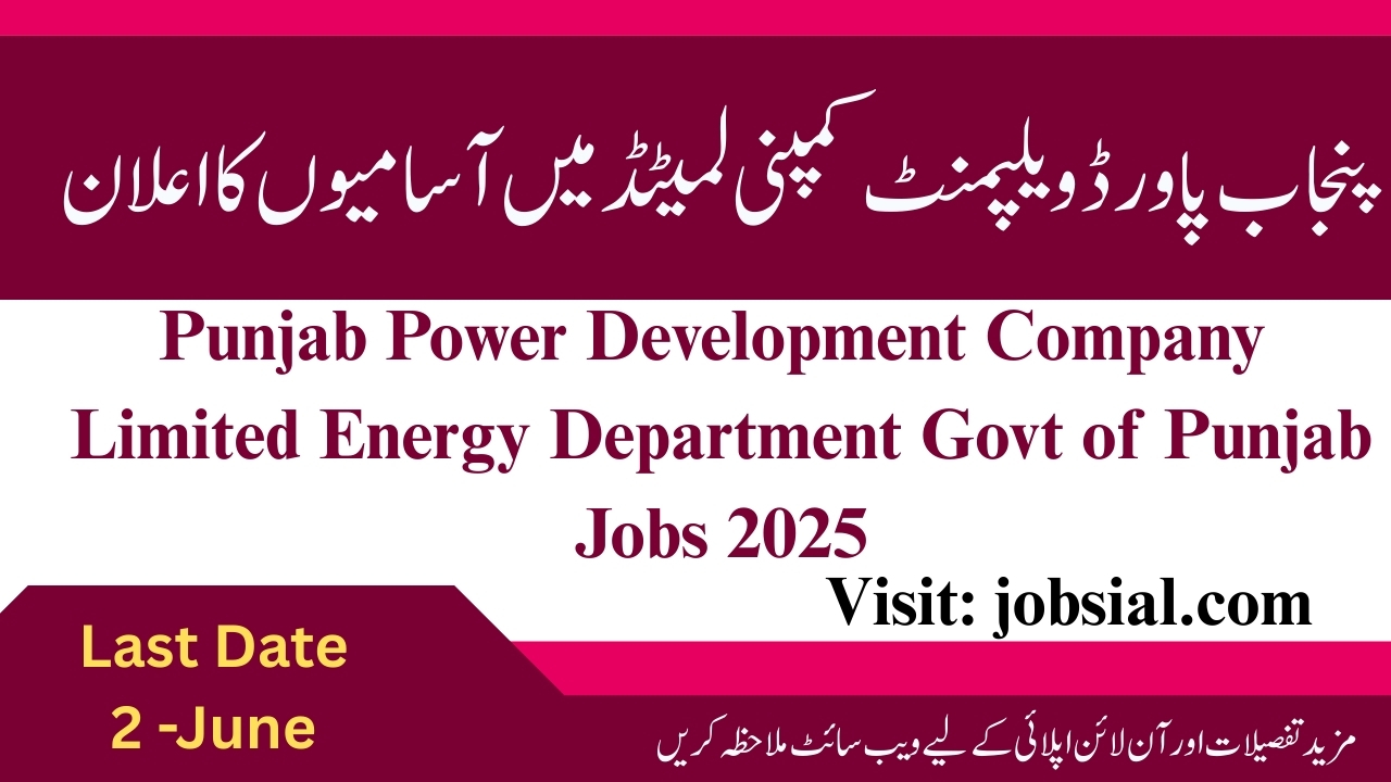 Energy Department Govt of Punjab Jobs 2025