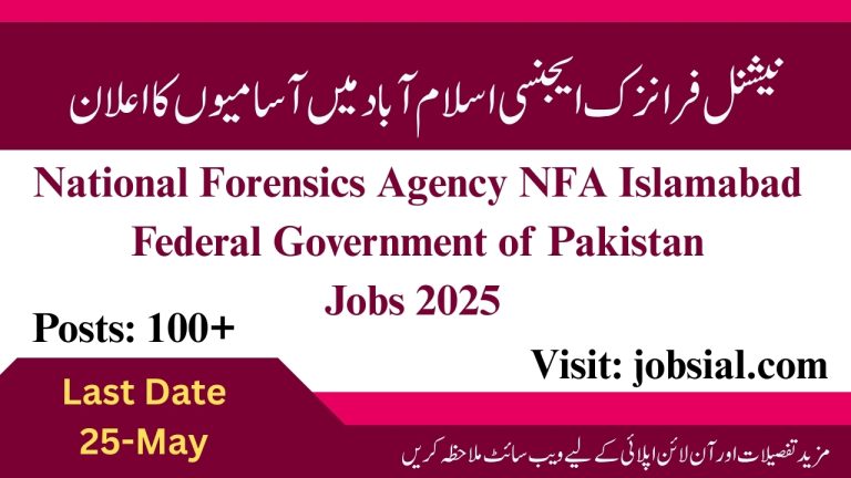 NFA Islamabad Federal Government of Pakistan Jobs 2025