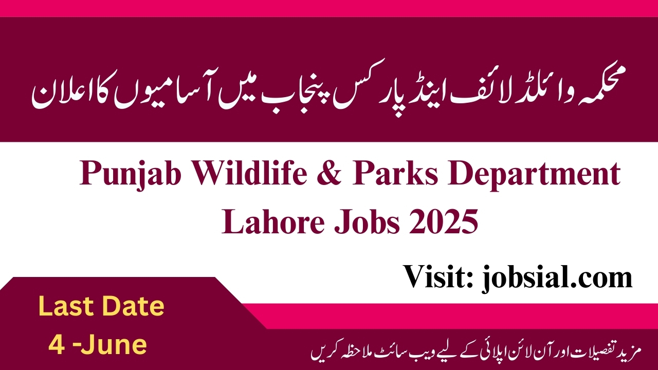 Punjab Wildlife & Parks Department Jobs 2025