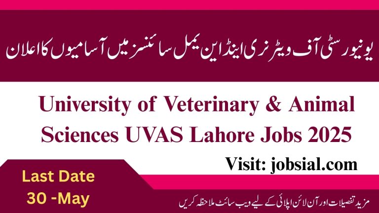 UVAS Lahore Jobs 2025
