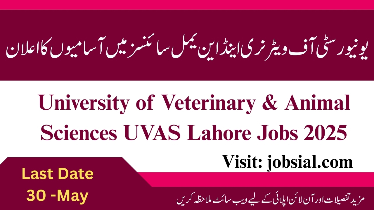 UVAS Lahore Jobs 2025