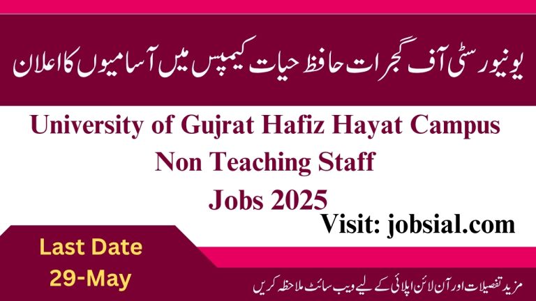 University of Gujrat Hafiz Hayat Campus Jobs 2025