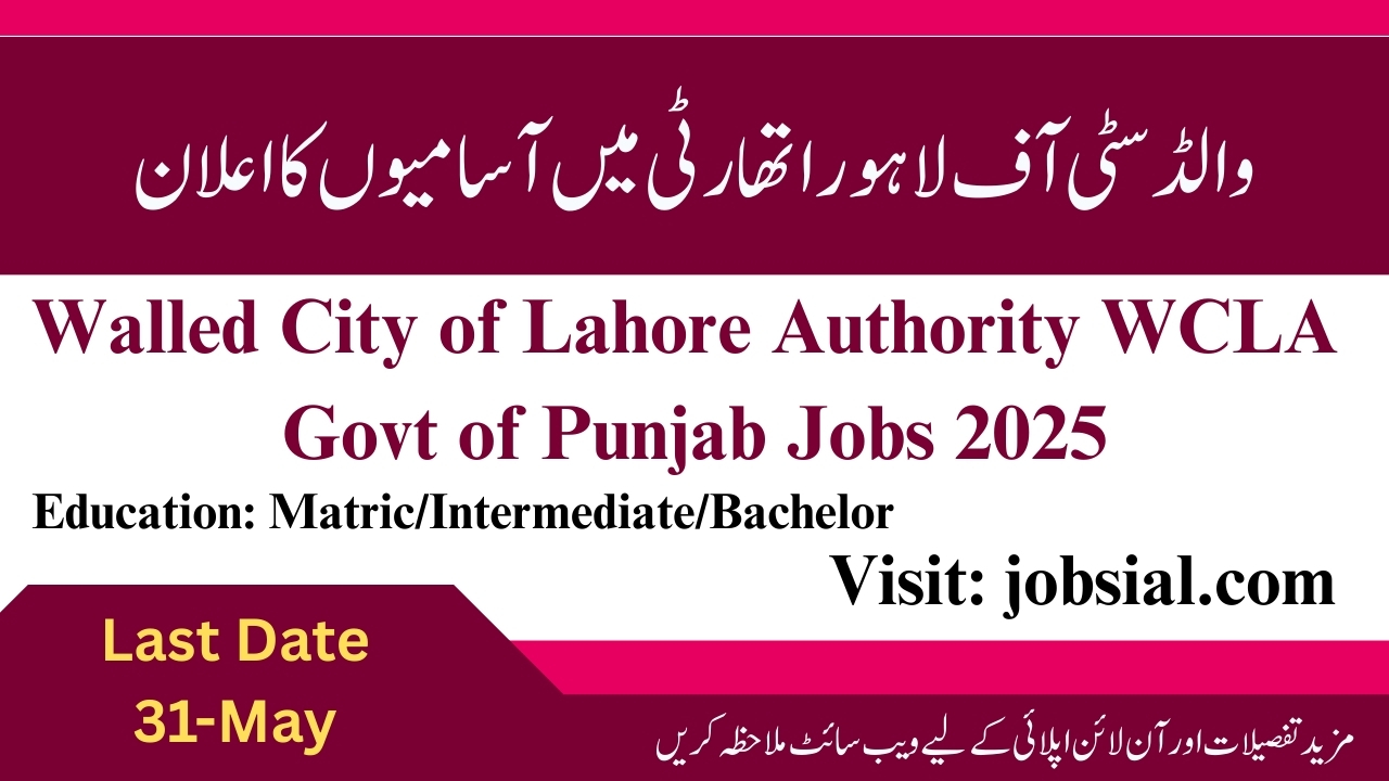 WCLA Govt of Punjab Jobs 2025