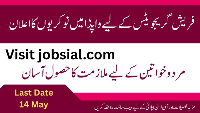 Wapda Internship Program 2025 for Fresh Graduates