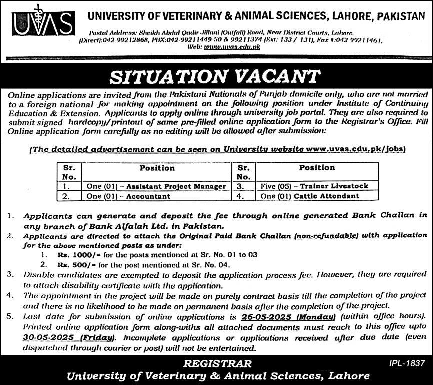 University of Veterinary & Animal Sciences UVAS Lahore Jobs 2025