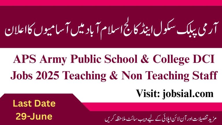 APS Islamabad Jobs 2025