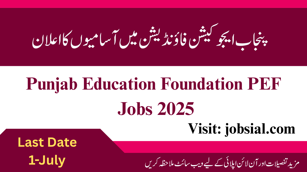 PEF Jobs 2025