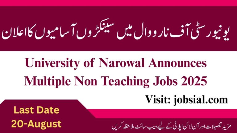 University of Narowal Jobs 2025