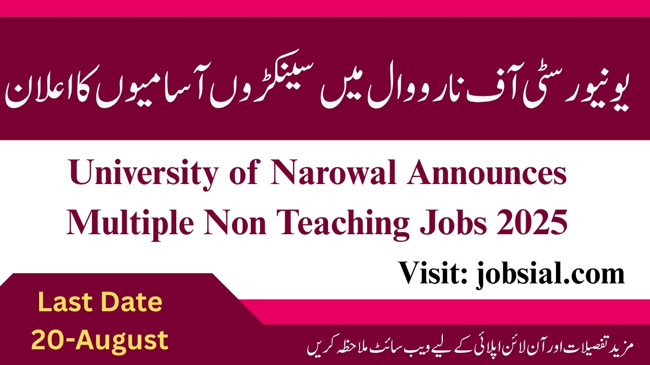 University of Narowal Jobs 2025