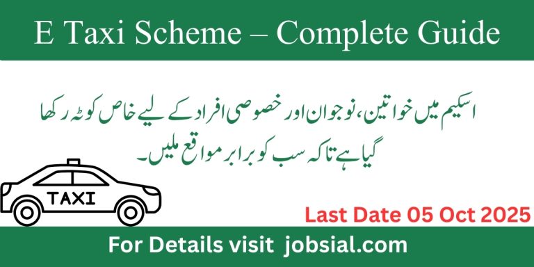 E Taxi Scheme – Complete Guide for 2025